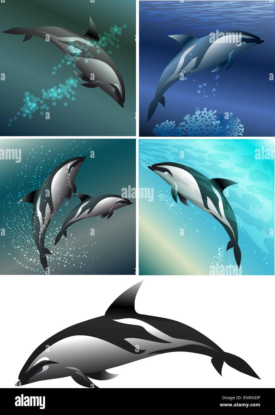 Ensemble de cinq images - y compris les dauphins Dolphin isolées en noir et blanc et des dauphins contre autre couleur de fond de la mer Illustration de Vecteur