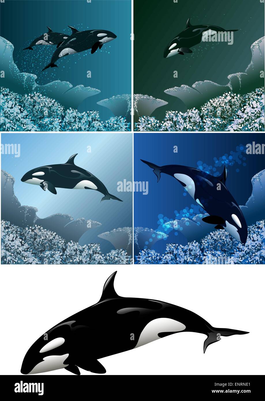 Ensemble d'orques y compris cinq images - épaulard isolées en noir et blanc et l'orque Illustration de Vecteur