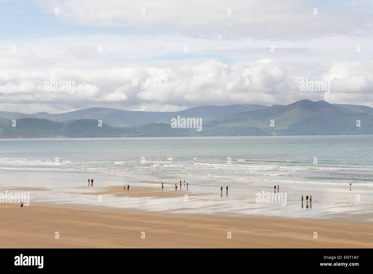 Les gens qui marchent sur la plage Inch avec l'Iveragh dans l'arrière-plan. Le comté de Kerry, Irlande. Banque D'Images