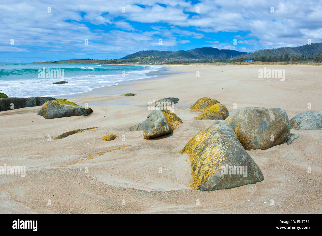 Plage sur la côte est, la Tasmanie Banque D'Images
