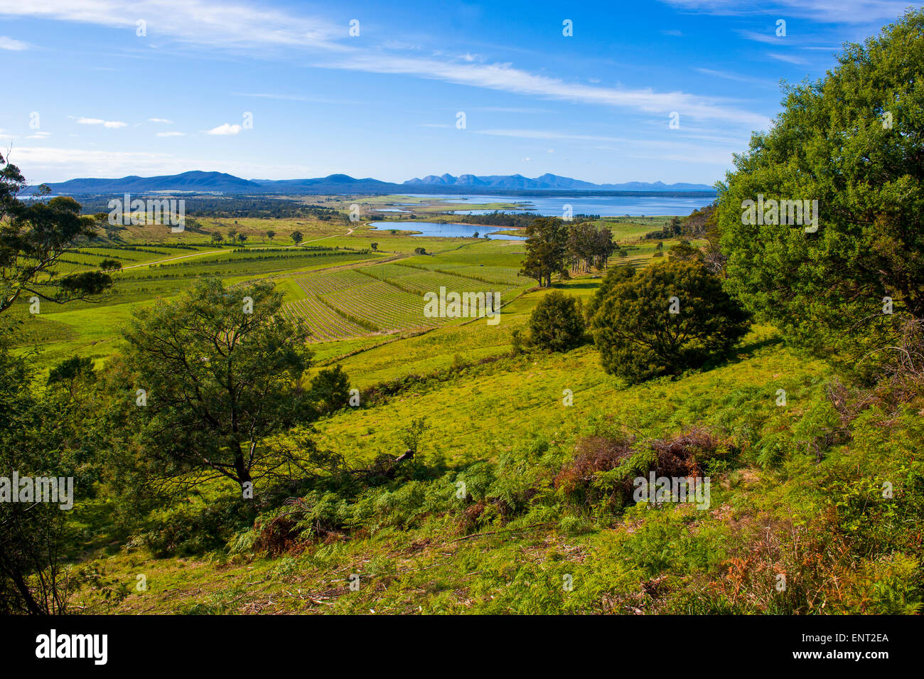 Paysage à la côte est, la Tasmanie Banque D'Images