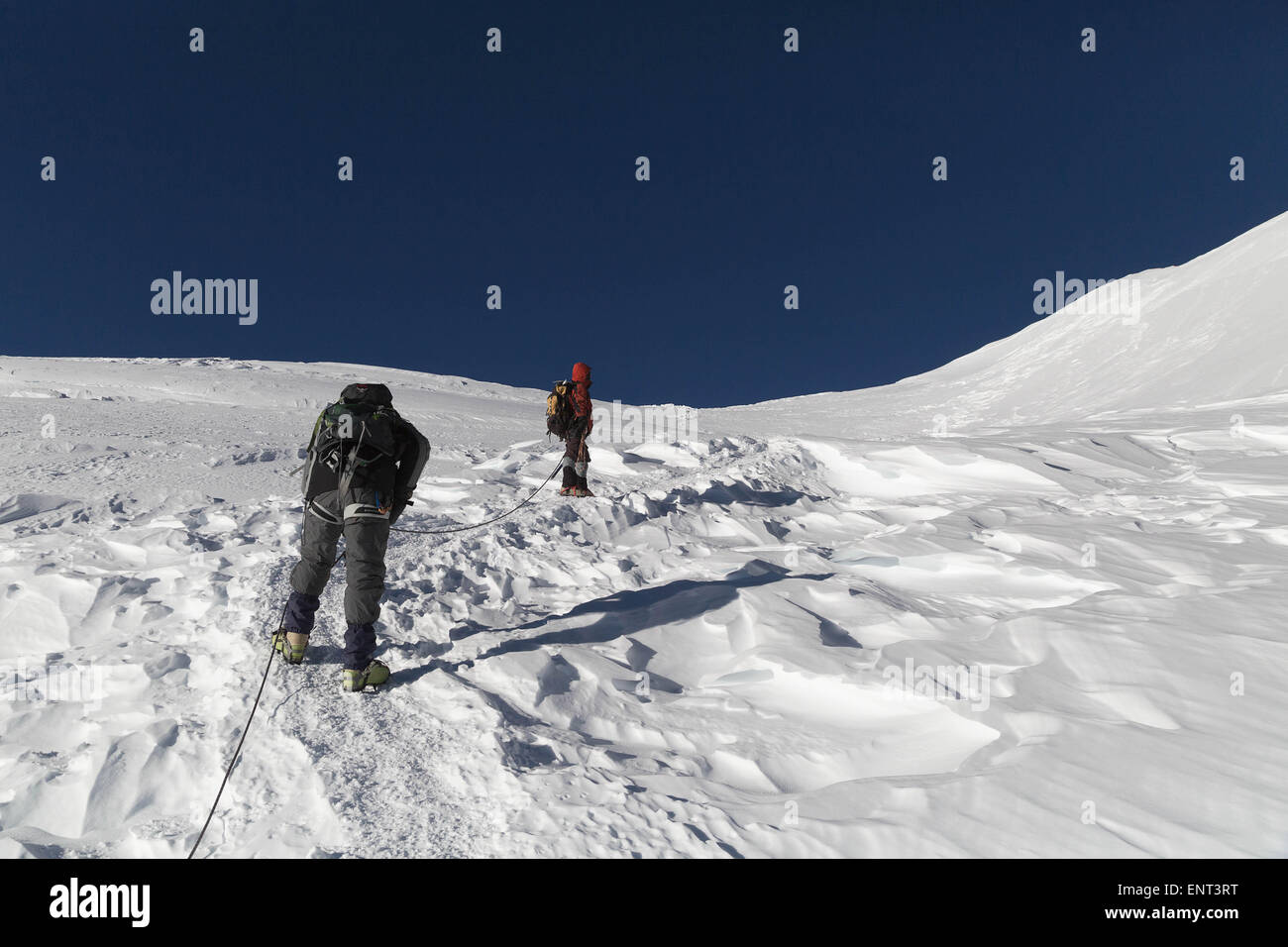 Marche sur glacier Mera Peak, Népal Banque D'Images