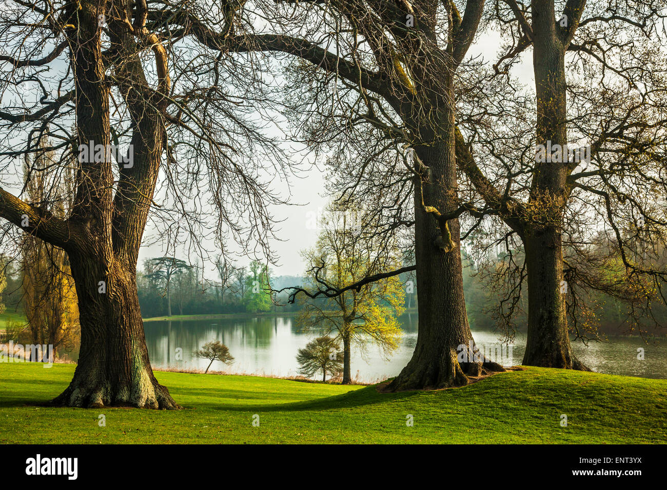 Le parc et lac de Bowood House dans le Wiltshire au printemps. Banque D'Images
