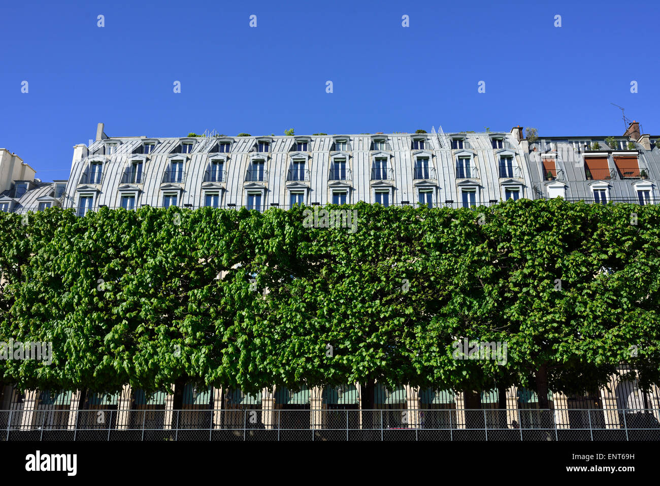 Jardin des Tuileries, Rue de Rivoli, 1er arrondissement, Paris, France Banque D'Images