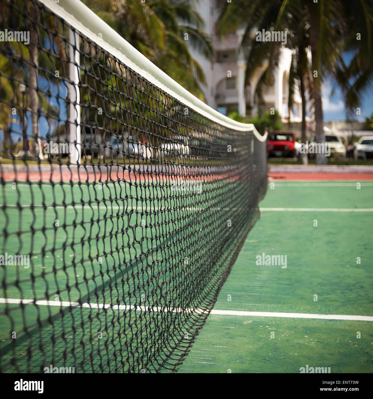 Tennis extérieur net à cour à personne, libre Banque D'Images