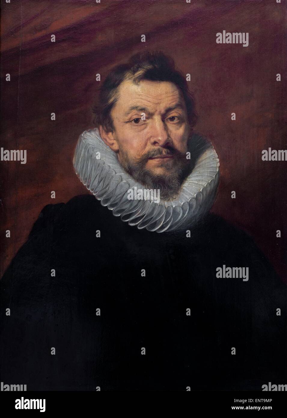 Le baron Henri de Vicq, ambassadeur de les archiducs Albert et Isabelle à proximité du roi Louis XIII 26/09/2013 - 17e siècle Collection Banque D'Images