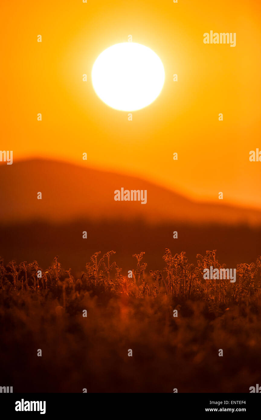 Coucher de soleil sur le Galloway Hills, Dumfries et Galloway, Écosse, Royaume-Uni Banque D'Images