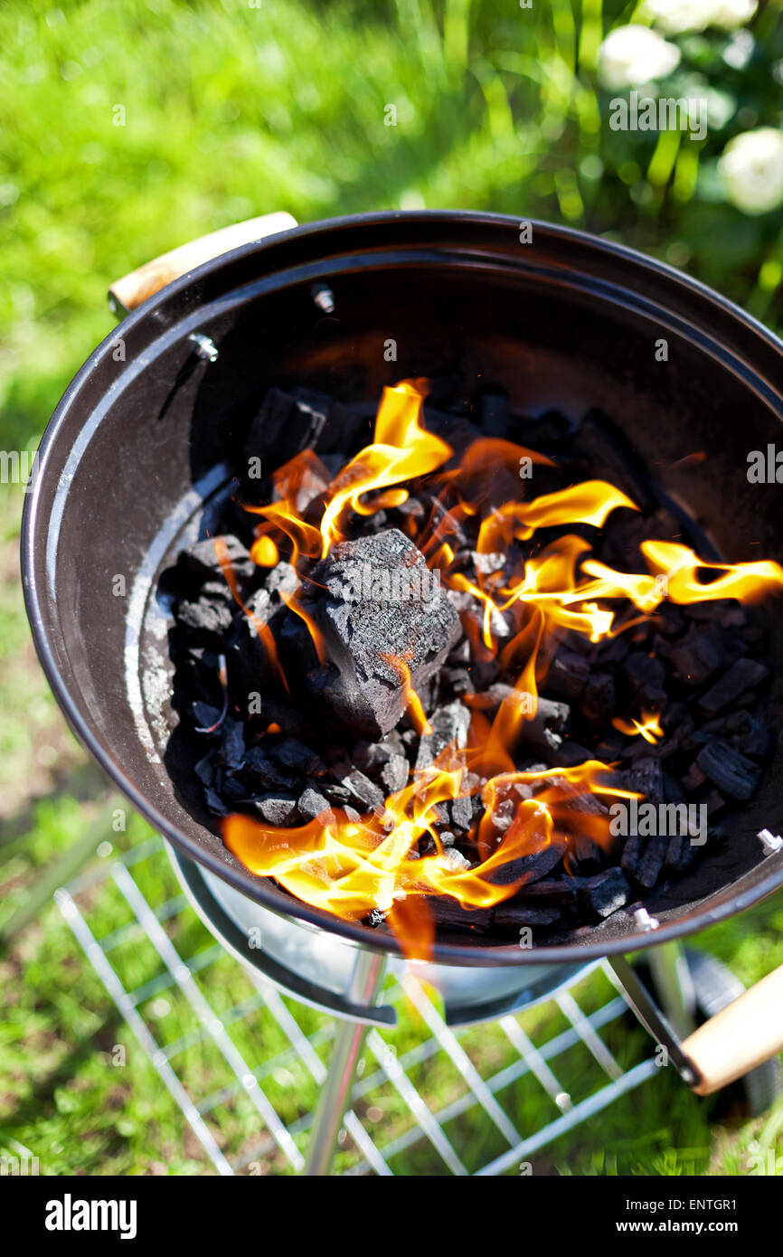 Sex brûlant du charbon, grill en feu Banque D'Images