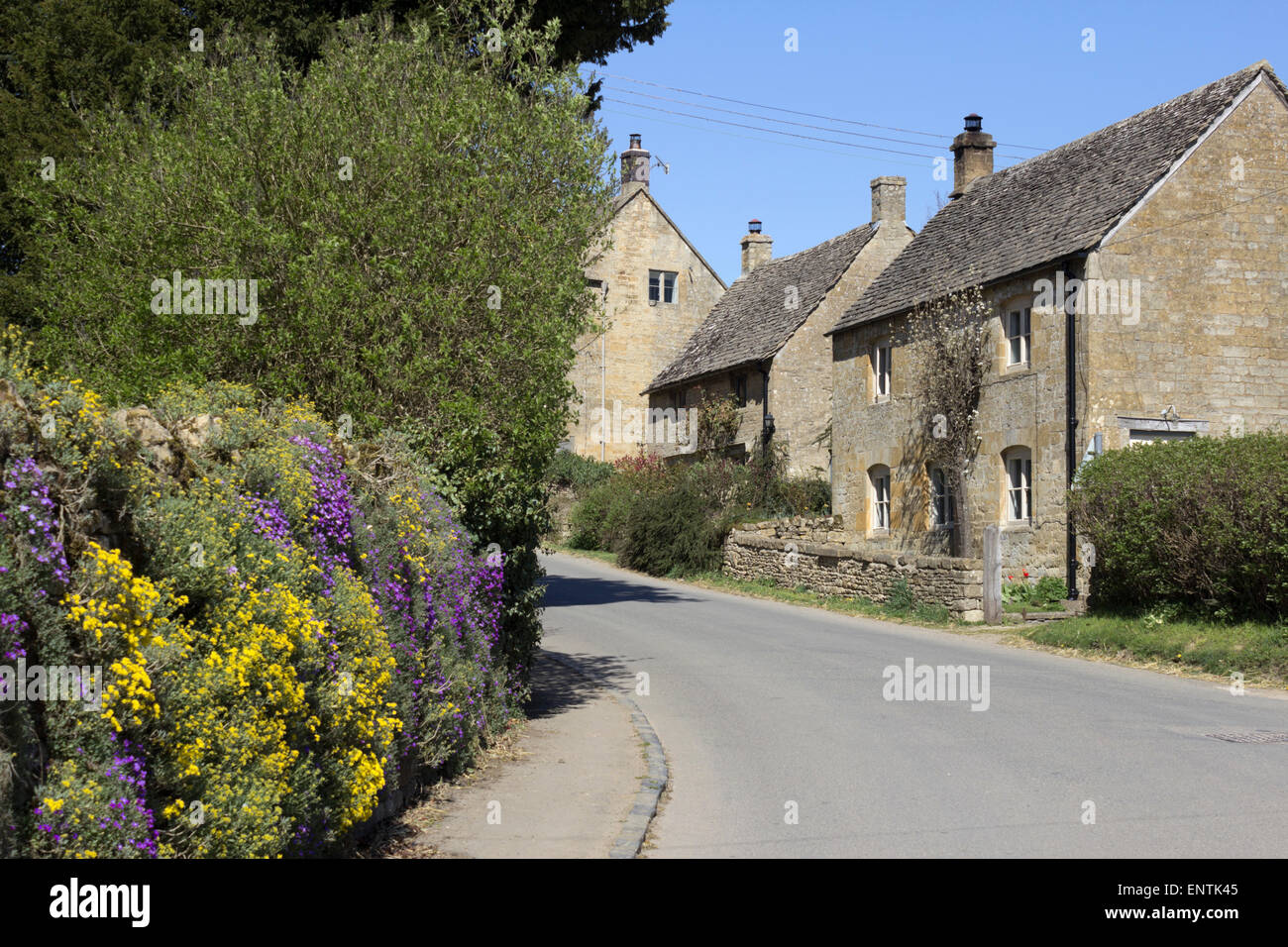 Cotswold cottages, Guiting Power, Cotswolds, Gloucestershire, Angleterre, Royaume-Uni, Europe Banque D'Images