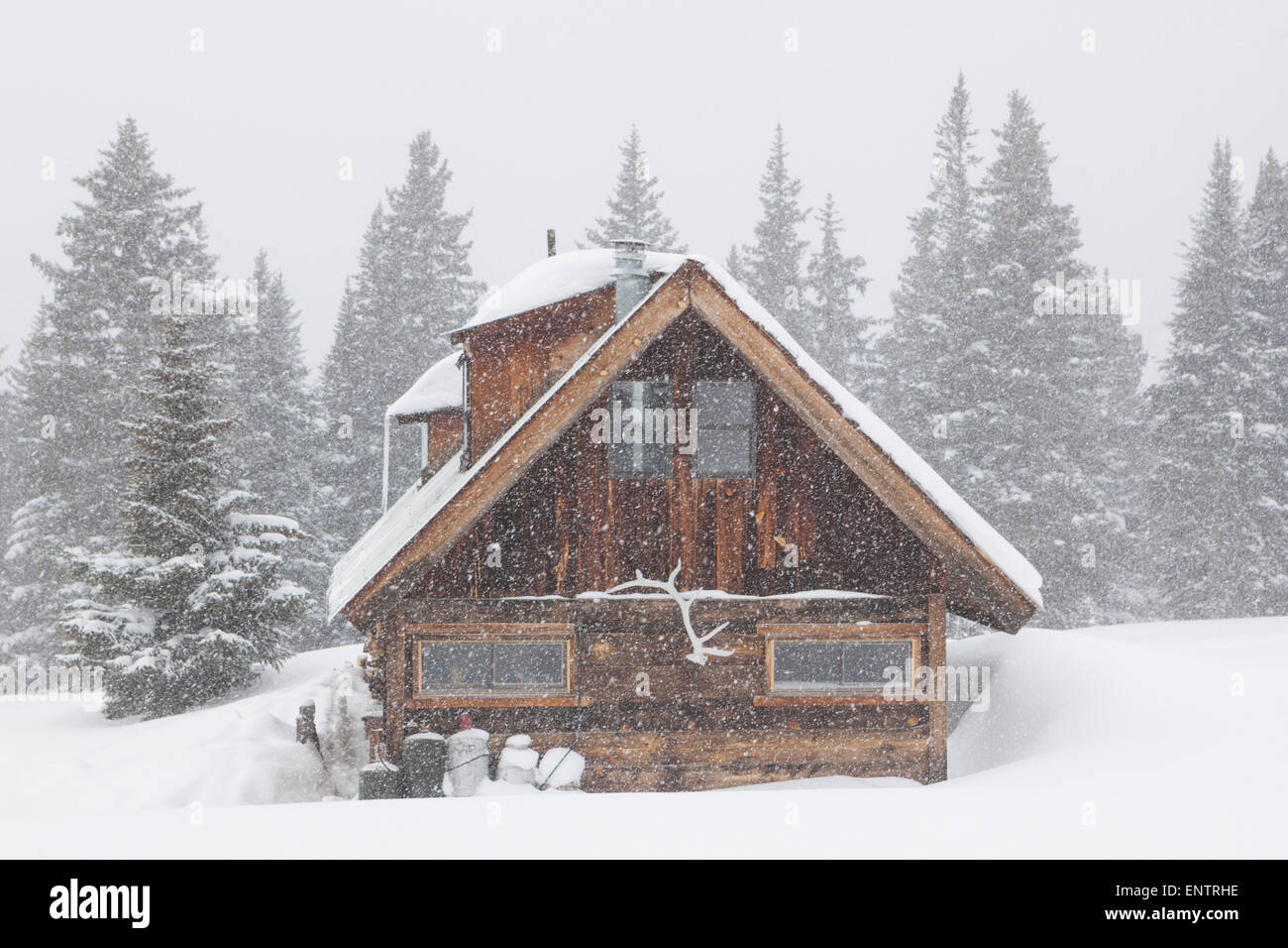 Une cabine de l'arrière-pays sur Red Mountain Pass, San Juan National Forest, Colorado. Banque D'Images