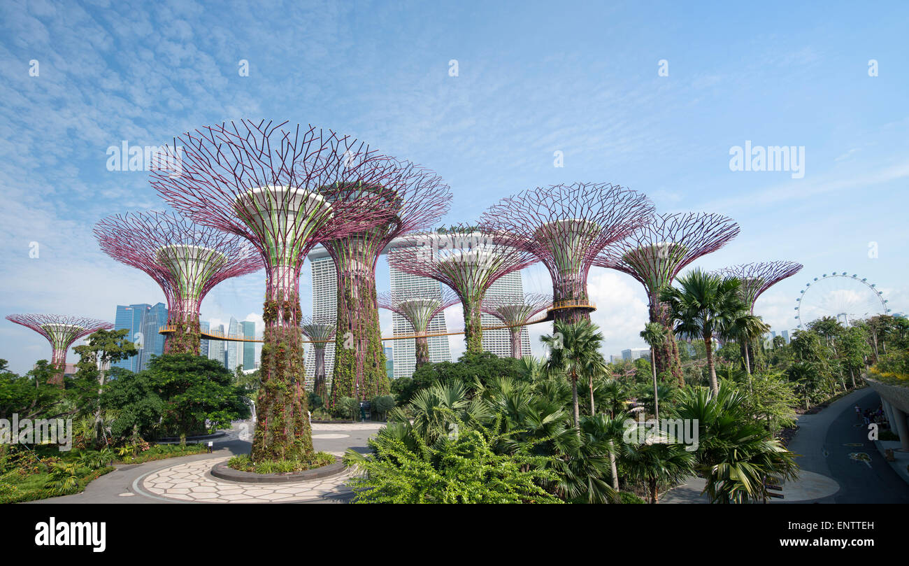 Gardens by the bay panorama Singapour Banque D'Images