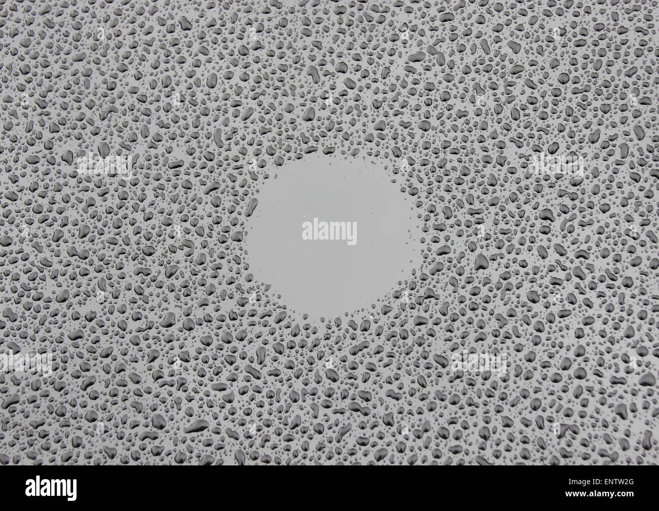 Cercle sec en gouttes sur fond noir Banque D'Images