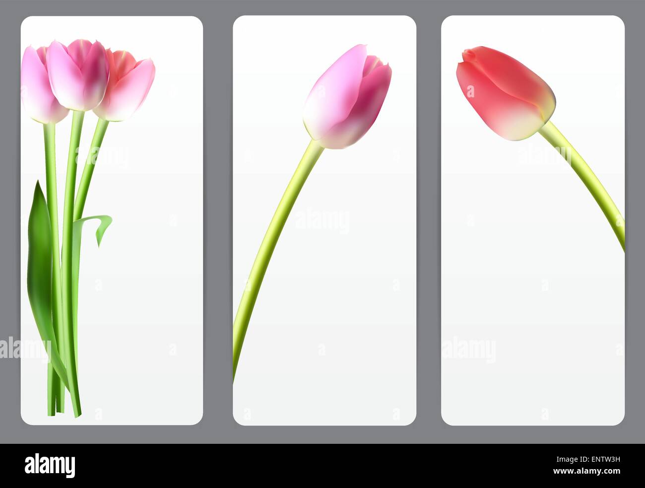 Belles cartes florales avec Tulip réaliste Vector Illustration Illustration de Vecteur