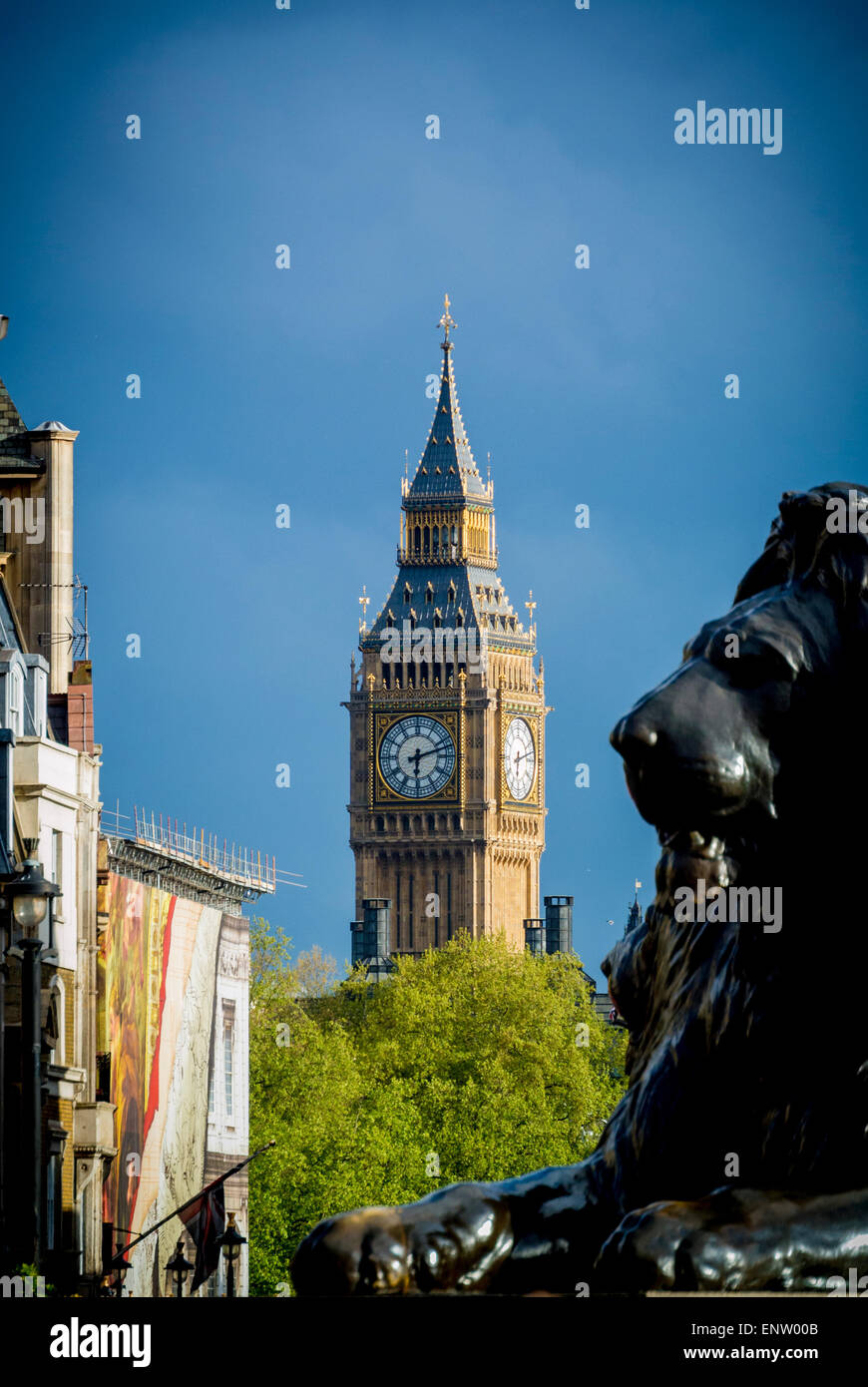 Statue de lion à Trafalgar Square, Londres, avec Big Ben en arrière-plan. Banque D'Images
