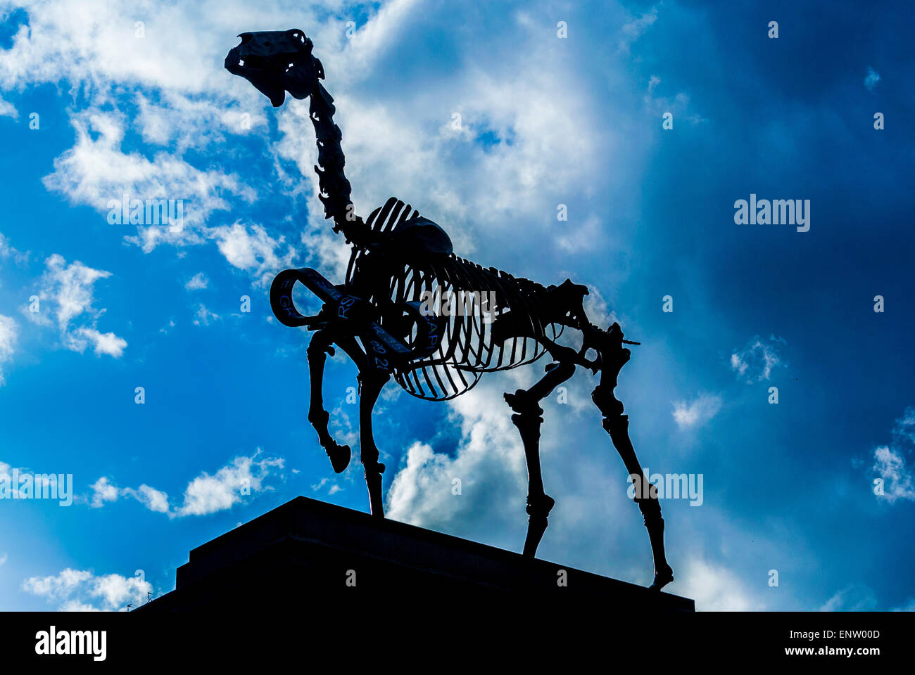 Cheval cadeau de l'artiste Hans Haacke sur le quatrième Socle, Trafalgar Square, Londres, Royaume-Uni. Banque D'Images