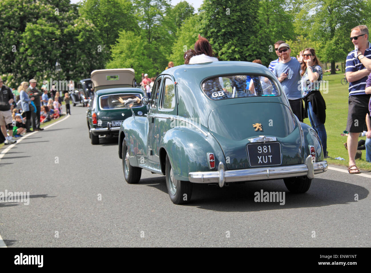 Peugeot 203 (1956). Châtaignier dimanche 10 mai 2015. Bushy Park, Hampton court, London Borough of Richmond, Angleterre, Grande-Bretagne, Royaume-Uni, Royaume-Uni, Europe. Parade de véhicules vintage et classiques et expositions avec attractions foraines et reconstitutions militaires. Crédit : Ian Bottle / Alamy Live News Banque D'Images