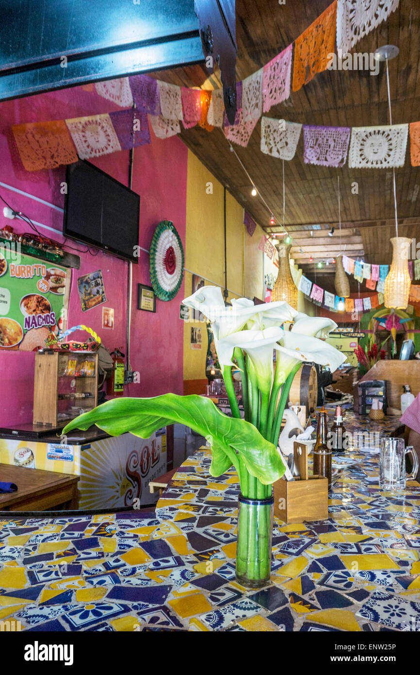 L'intérieur coloré de restaurant fast food mexicain avec verre de zantedeschias gracieux sur le carrelage multicolore bar comptoir Banque D'Images