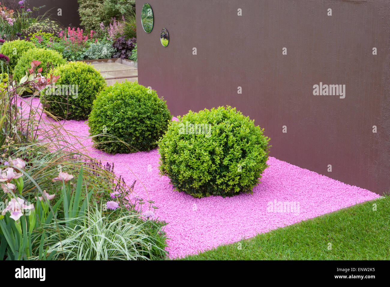 Petit jardin de gravier moderne avec Buxus sempervirens - balles en boîte topiaire sur le paillis de gravier coloré jardin printemps Royaume-Uni Malvern Show Banque D'Images