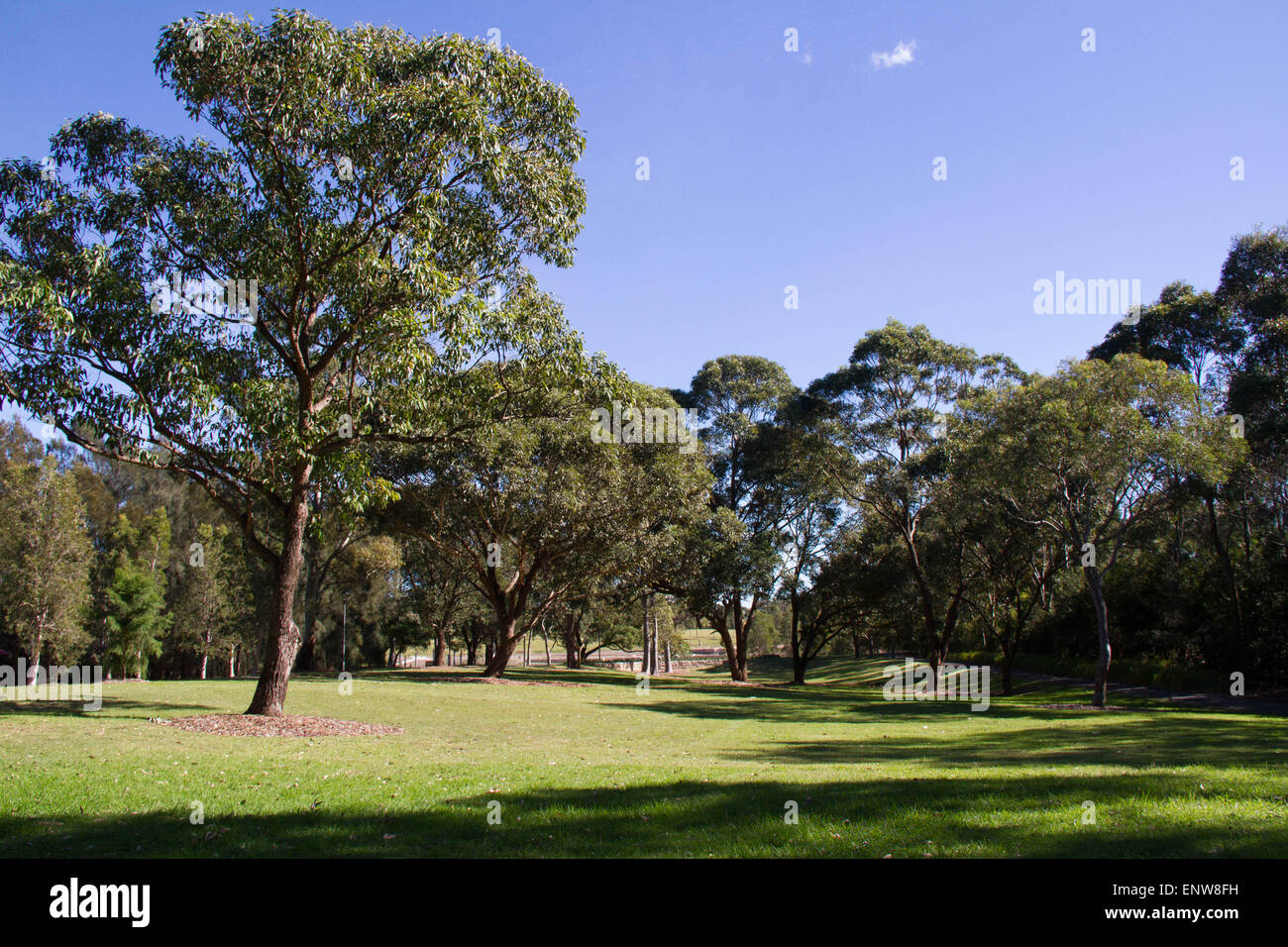 Sydney Park (Easton Road, Alexandria côté). Crédit : Richard Milnes/Alamy Banque D'Images