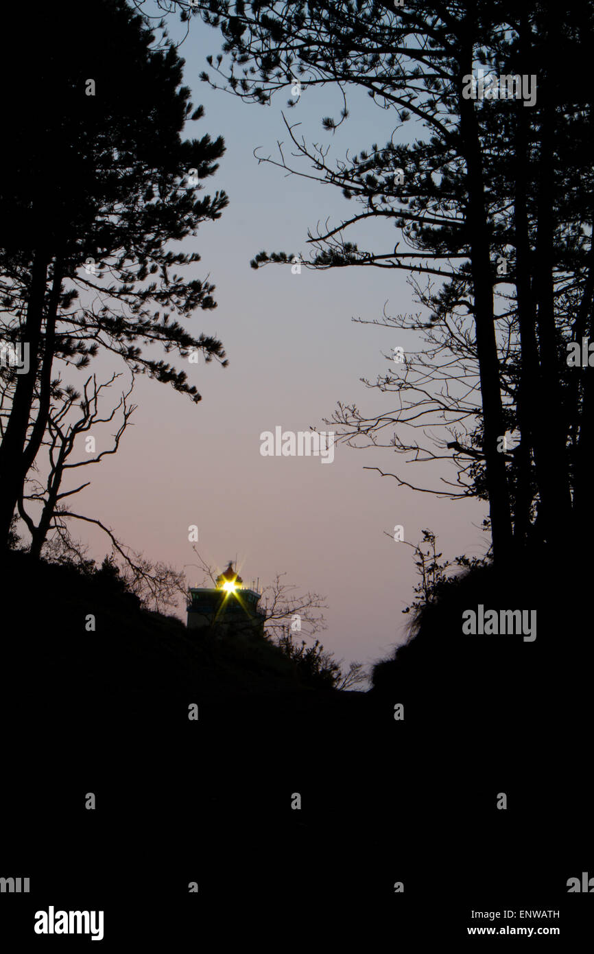 Phare de Brandaris '' sur l'île néerlandaise de Terschelling shining entre les silhouettes des arbres par nuit Banque D'Images