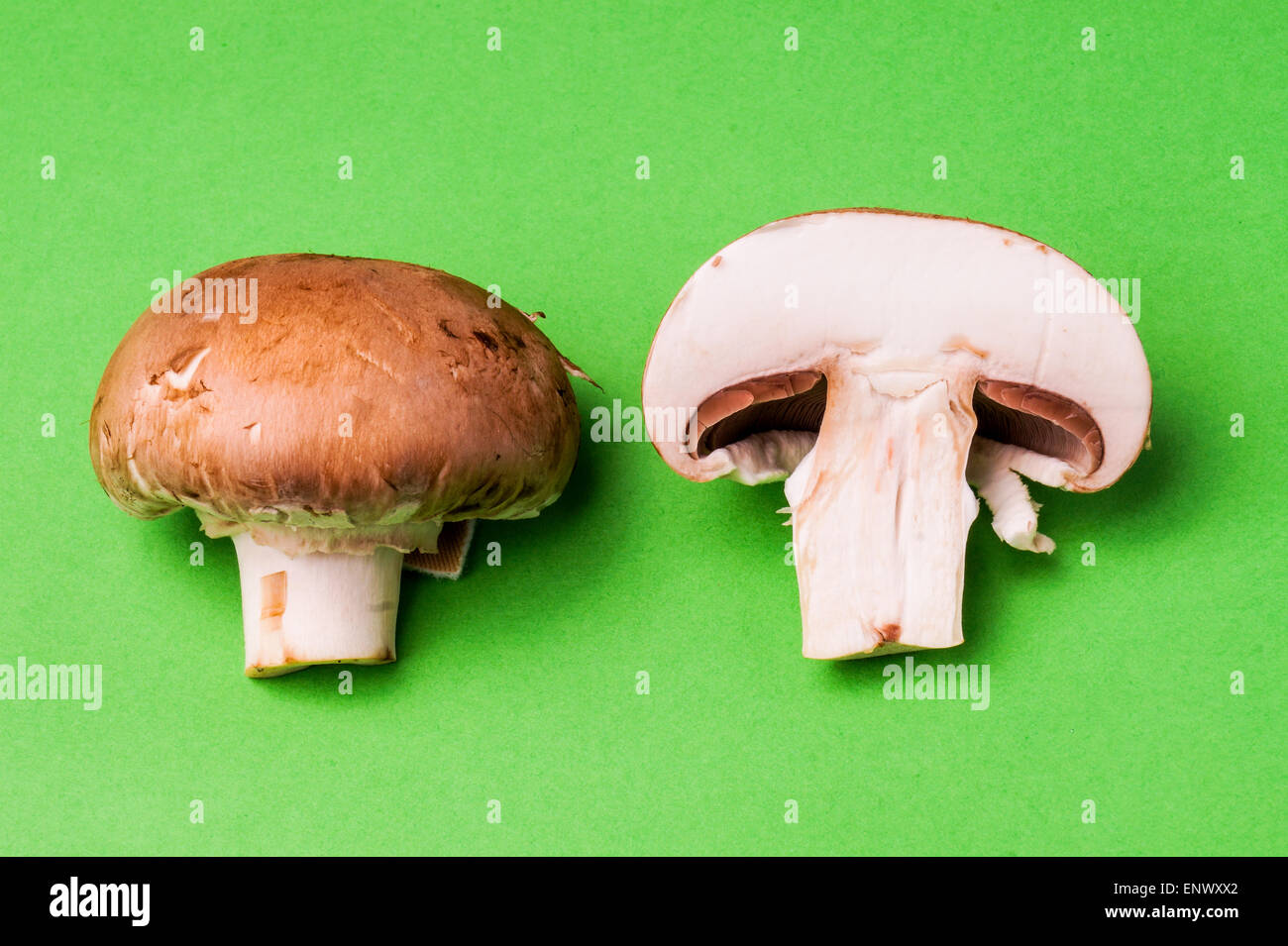 Le champignon, couché sur fond vert et isolées Photo Stock - Alamy