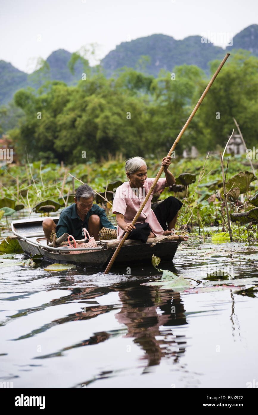 Vinh Ha Long pouvez - Tam Coc, Vietnam Banque D'Images