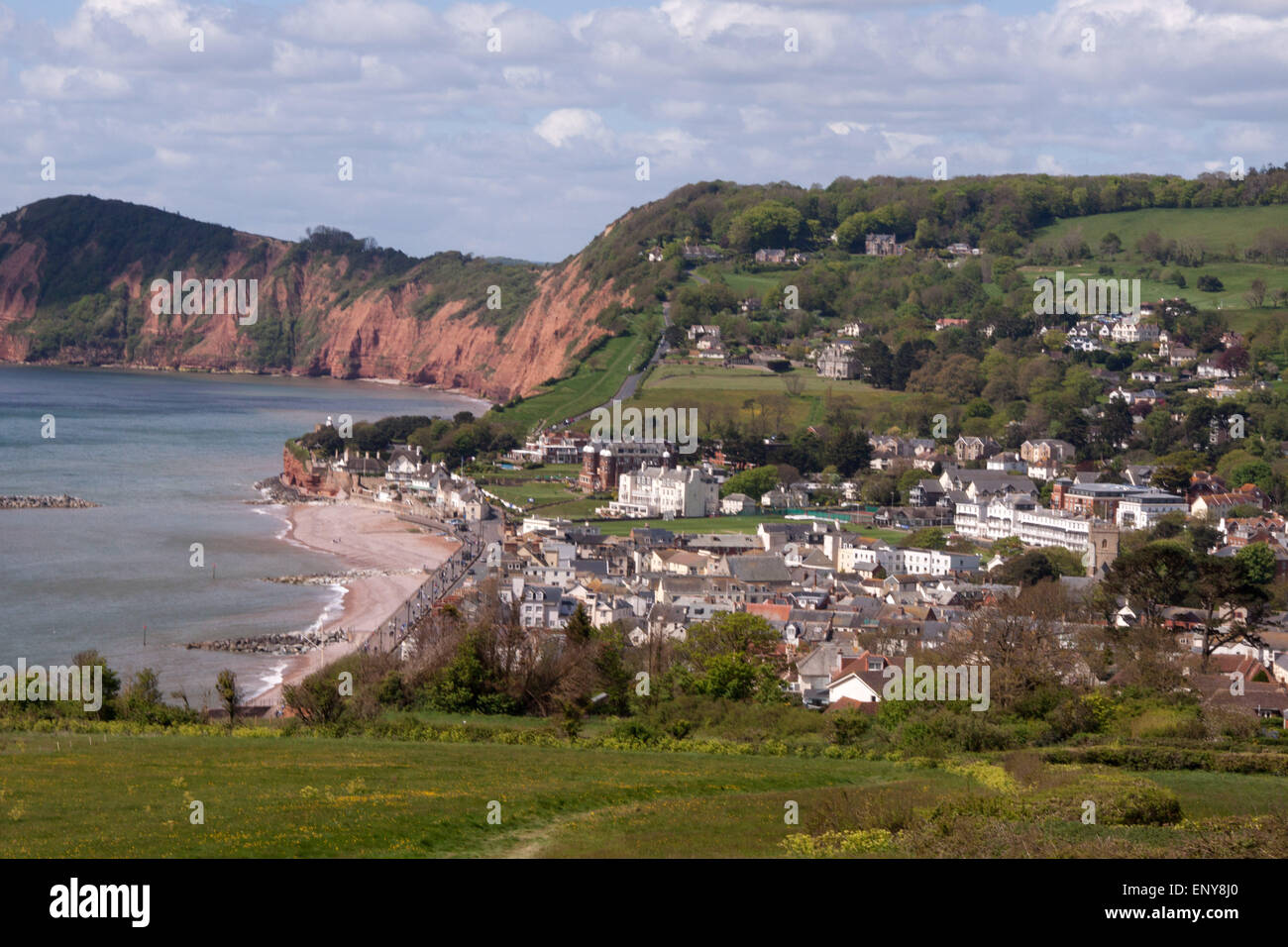 La ville de Sidmouth. Le chemin côtier du sud-ouest à Salcombe Hill Cliff, à Truro, Cornwall, Devon, avec la ville et la baie de Lyme derrière. Banque D'Images