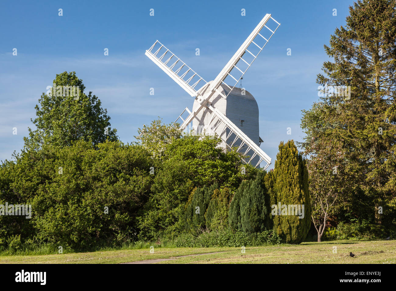 Moulin à vent hildden Finchingfield derrière des arbres et arbustes, Finchingfield, Essex, Angleterre, RU Banque D'Images