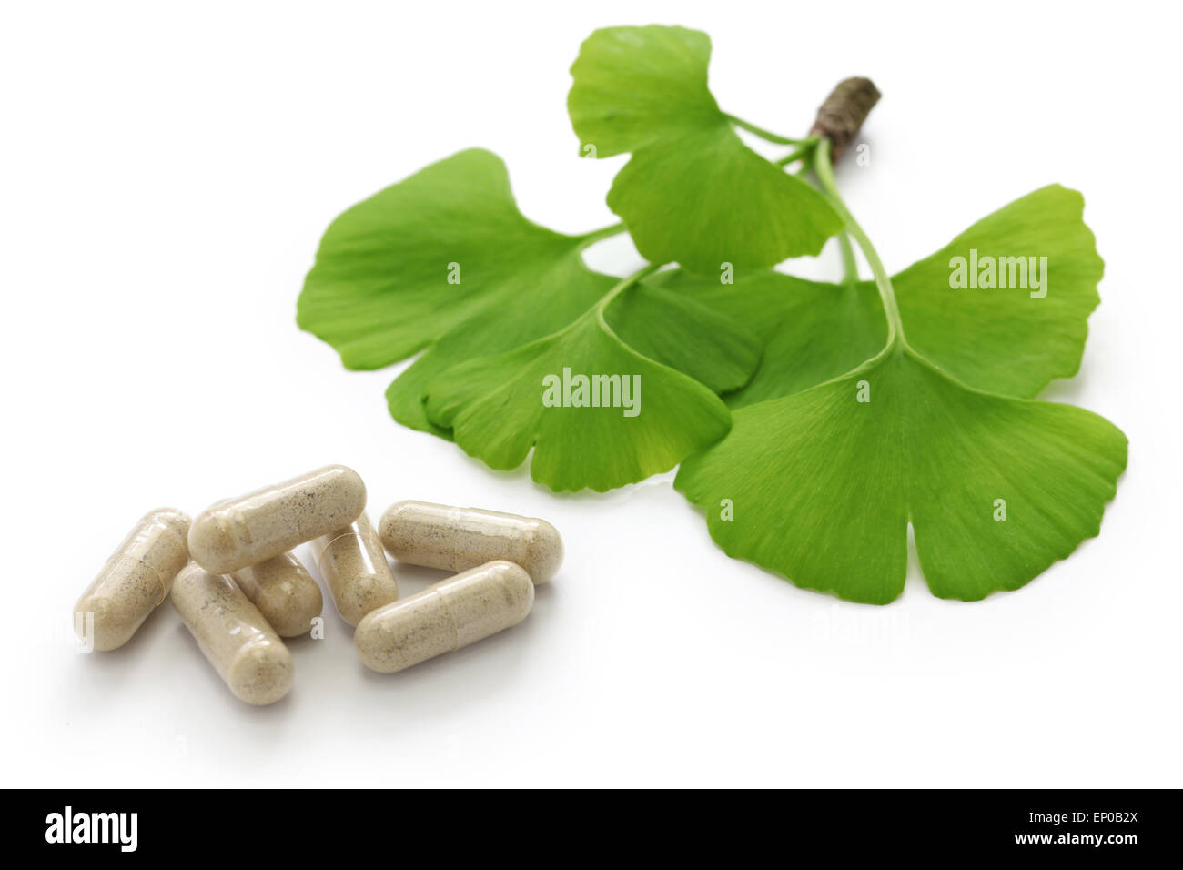 Les feuilles de ginkgo biloba et de médicaments comprimés capsules Banque D'Images