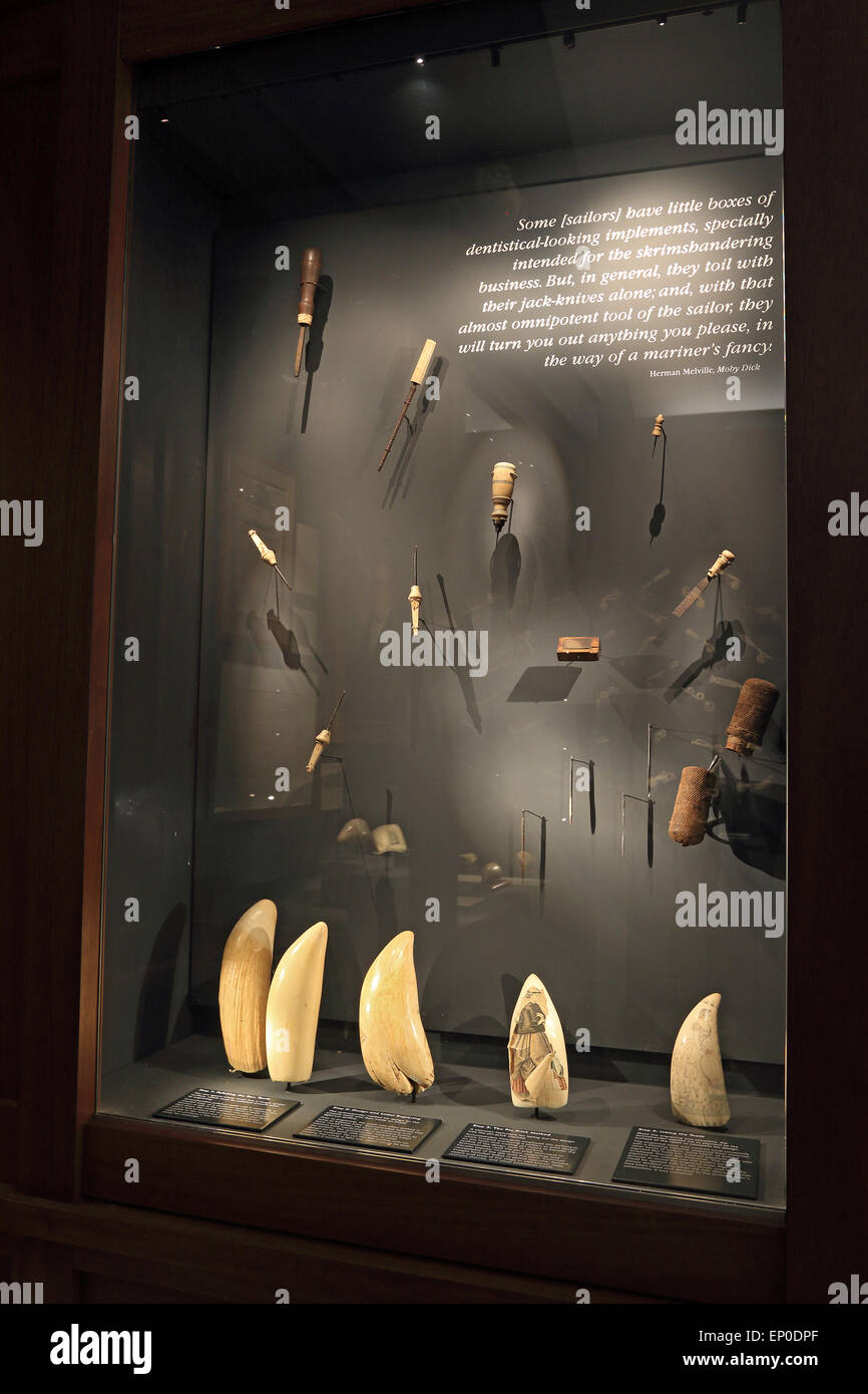 Nantucket Whaling museum. Un écran montrant les dents de cachalots et outils pour la sculpture de scrimshaw. L'île de Nantucket, Massachusetts. Banque D'Images