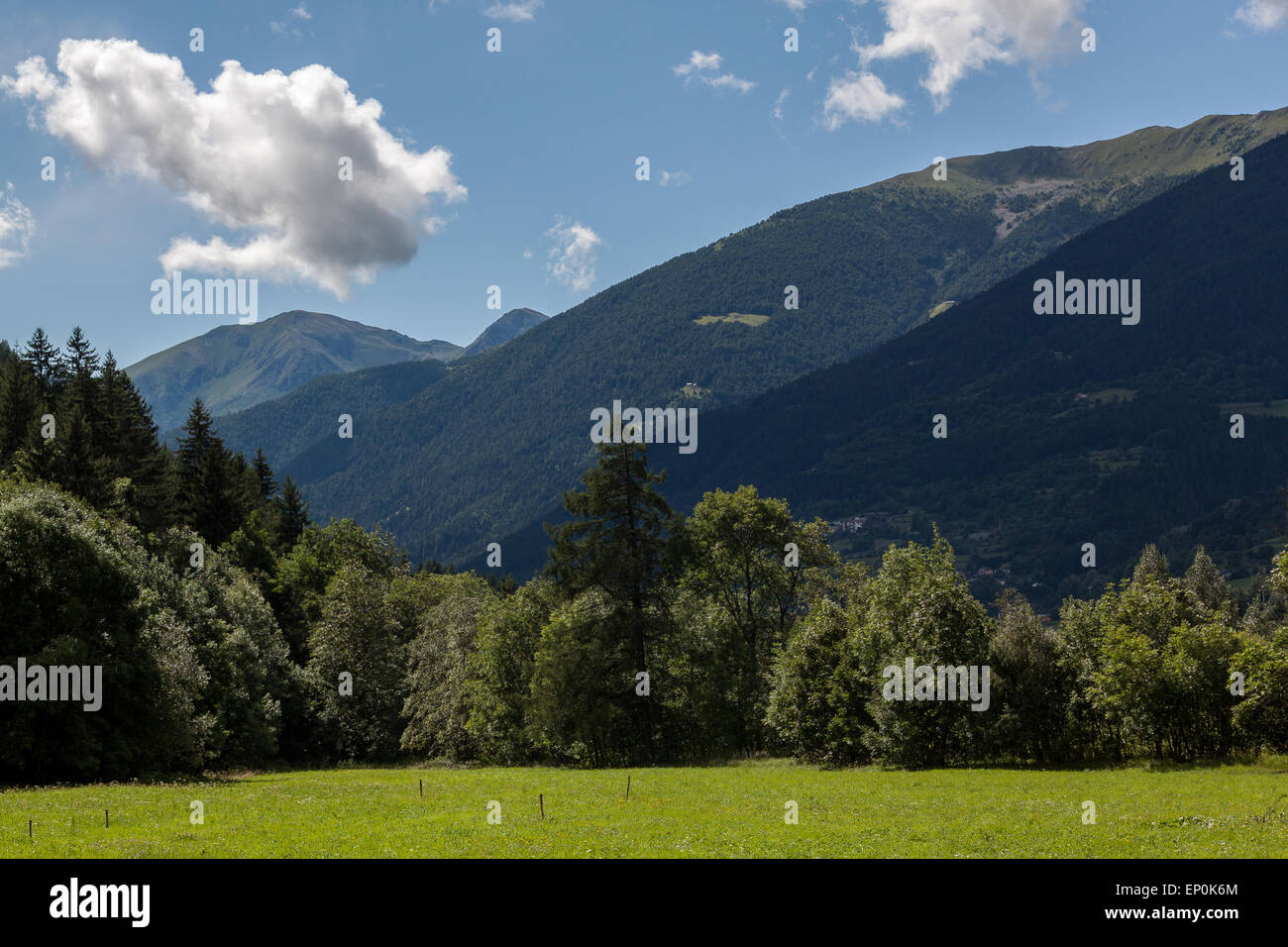 Val Camonica (Vallée Camonica) est l'une des grandes vallées des Alpes centrales, dans l'est de la Lombardie. Banque D'Images