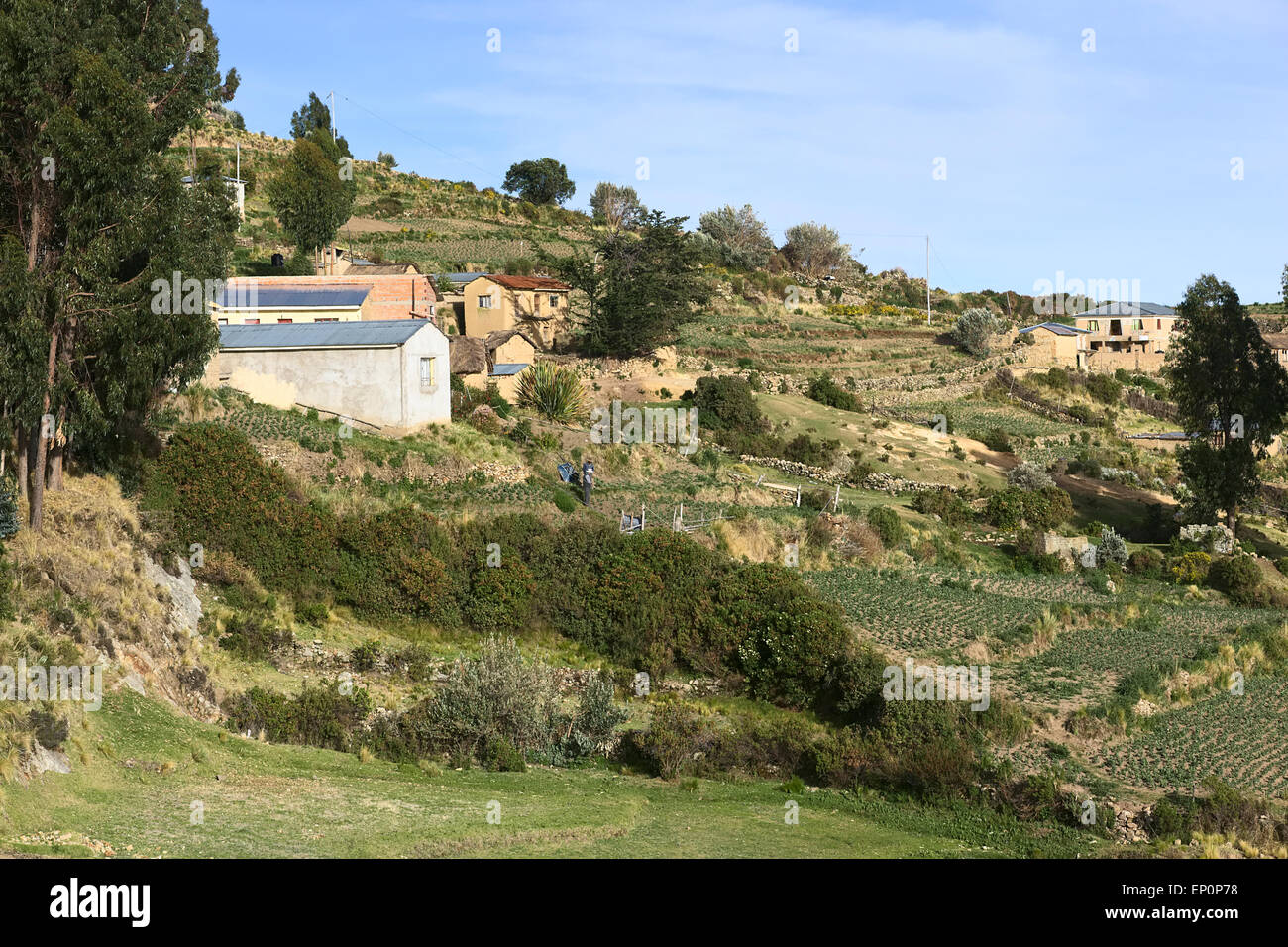 Maisons avec jardin sur Isla del Sol (Île du Soleil) dans le lac Titicaca, Bolivie Banque D'Images