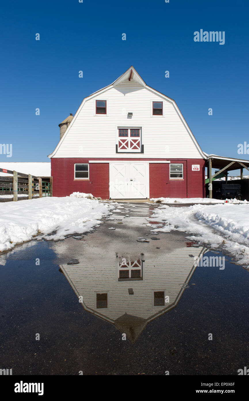Avant de grange rouge et blanc contre un ciel bleu de College Park, Maryland, dans l'hiver Banque D'Images