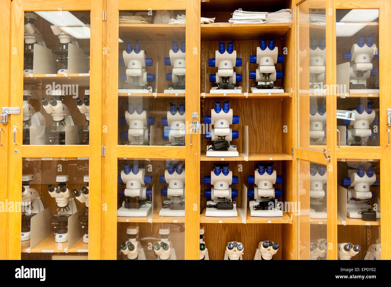 Porte ouverte à une armoire pleine de microscopes dans une université de College Park, Maryland Banque D'Images