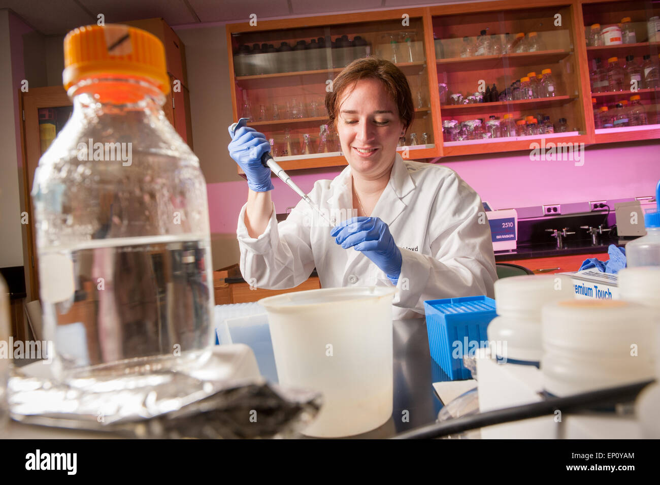 Femme scientifique de faire des expériences au laboratoire scientifique d'une usine de College Park, Maryland, USA Banque D'Images