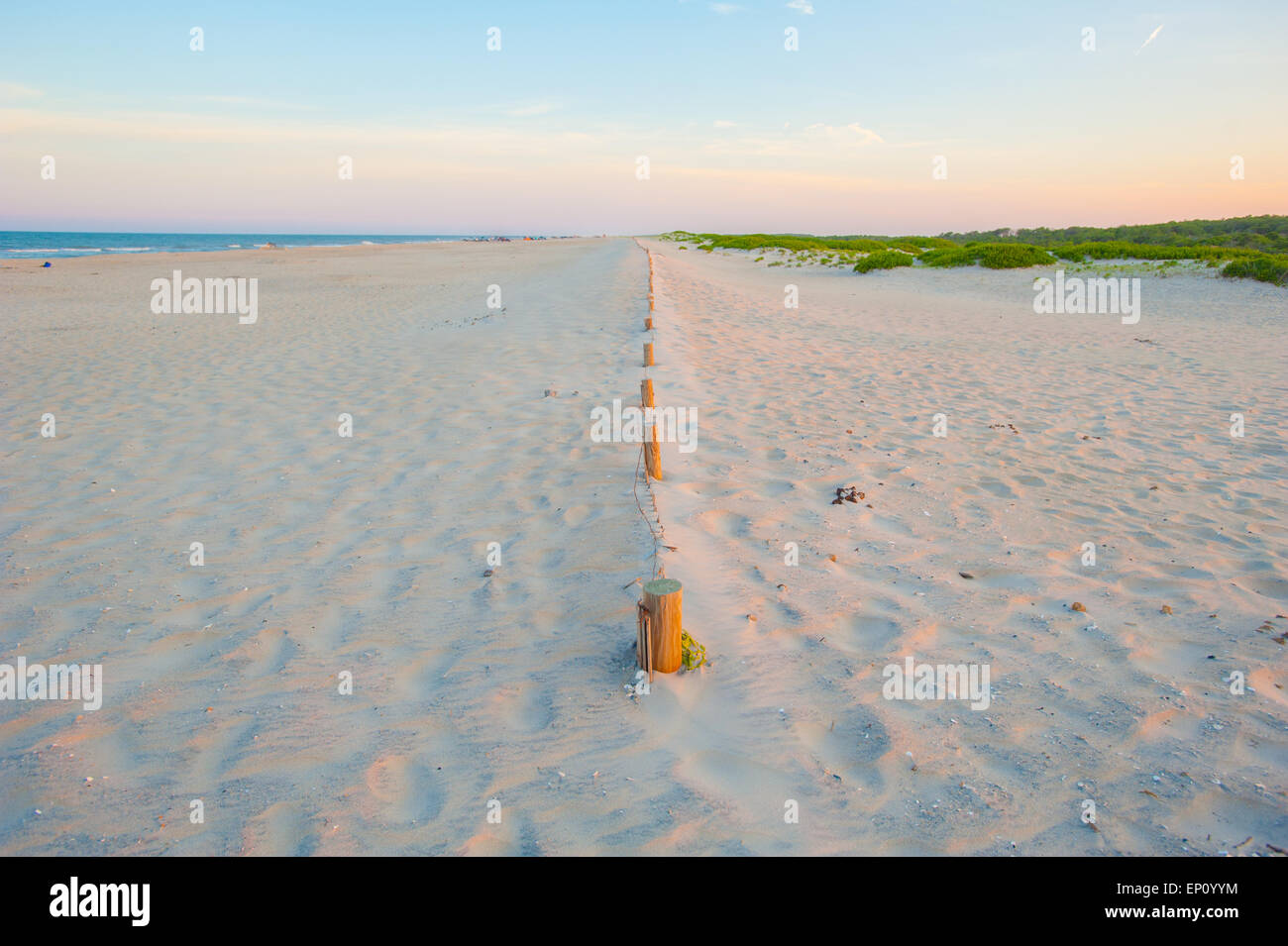 Plage de sable à l'Assateague Island National Seashore, Maryland, USA Banque D'Images