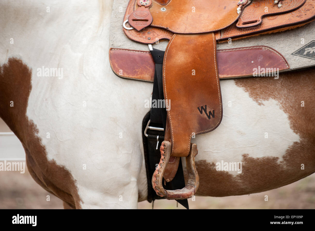 Close-up de l'étrier fixé à une selle sur un cheval près de Hurlock, Maryland, USA Banque D'Images