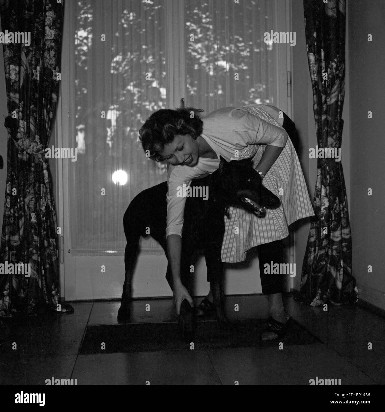 Deutsche Schauspielerin Gisela Lelim Michel im Flur mit ihren Dobermann, Deutschland 1950er Jahre. L'actrice allemande Gisela Lelim Michel Banque D'Images