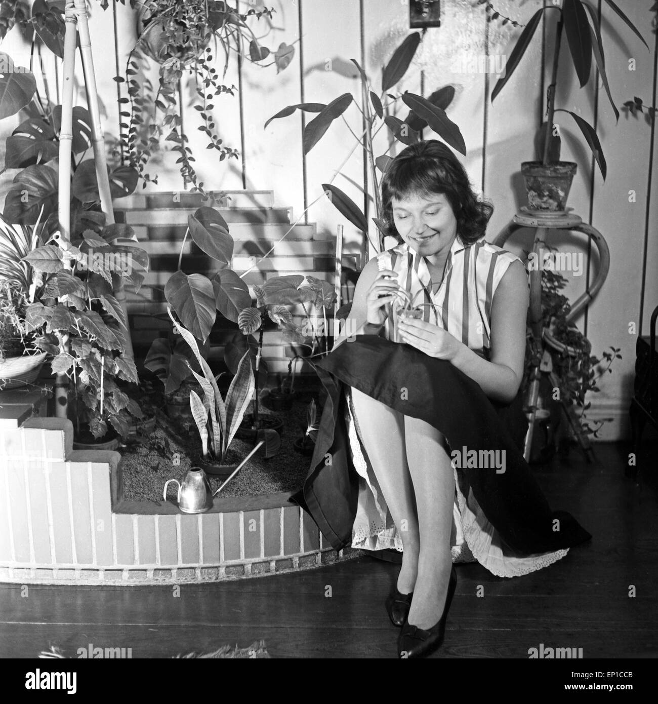 Eine junge Frau kümmert sich um eine kleine une Zierpflanze Blumenecke von Deutschland, 1950er Jahre. Une jeune femme en prenant soin de Banque D'Images