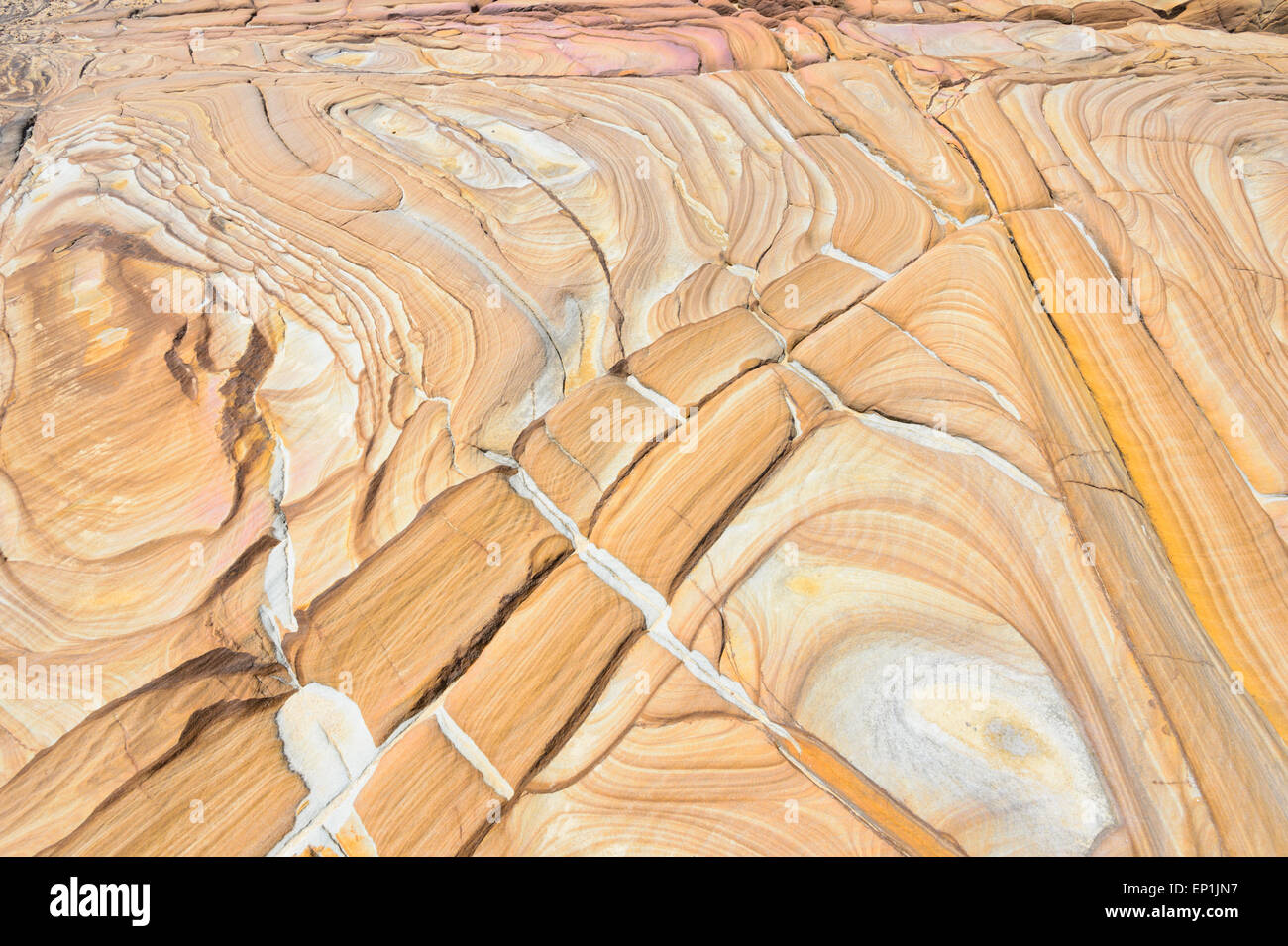 Anneaux de Liesegang, Bouddi National Park, New South Wales, NSW, Australie Banque D'Images
