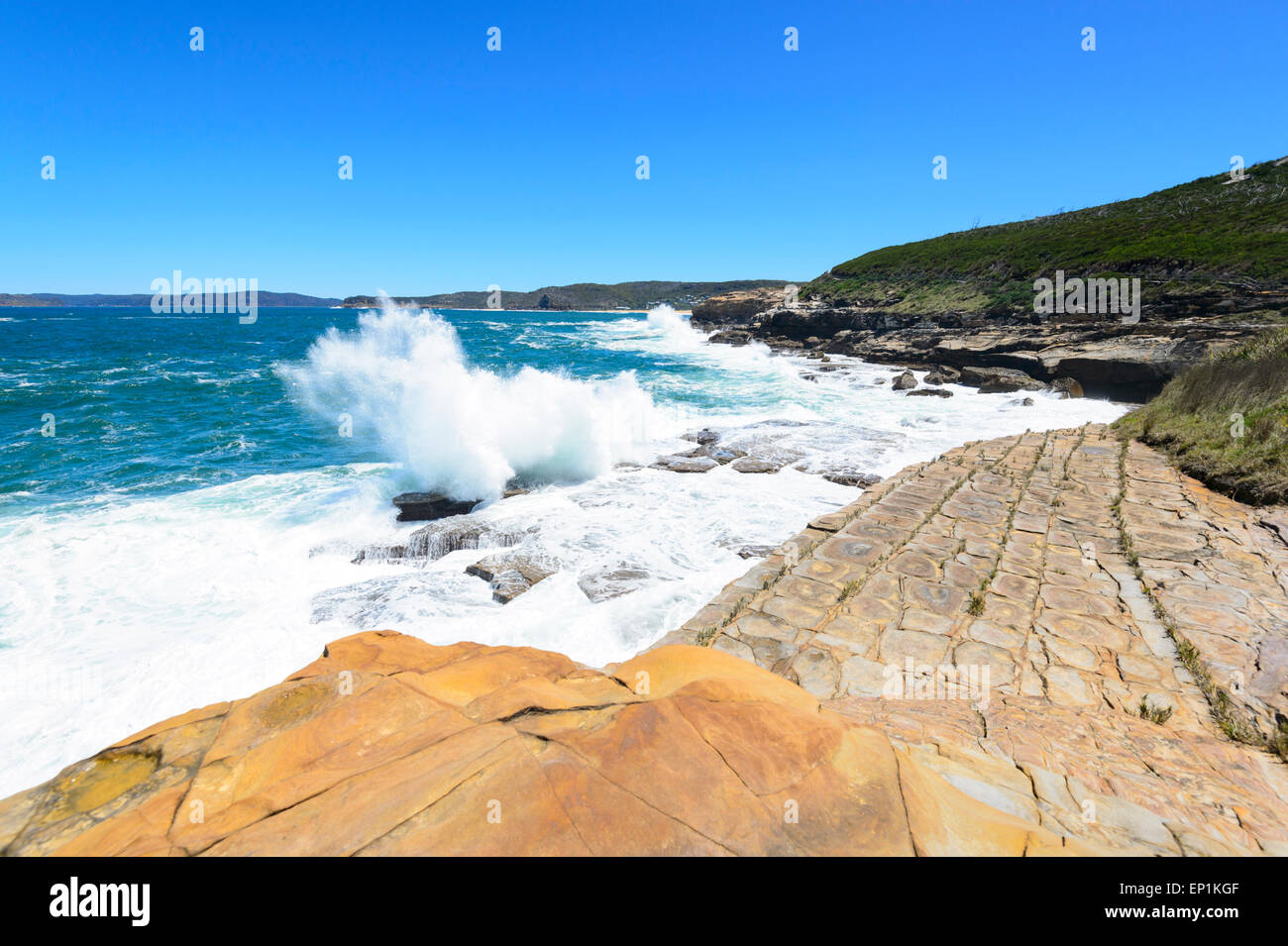 Tessallated, Chaussée Bouddi National Park, New South Wales, NSW, Australie Banque D'Images