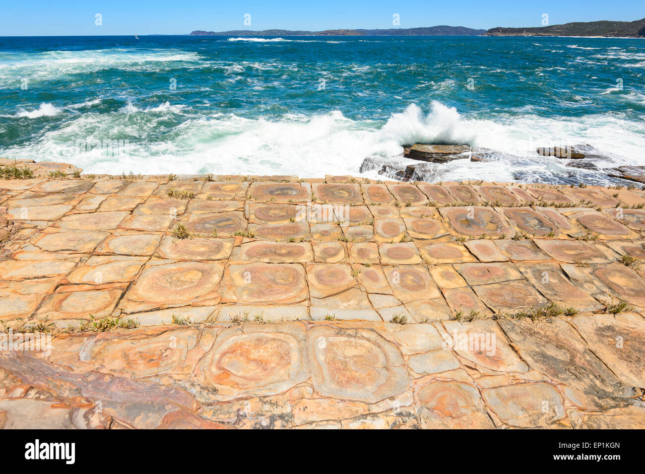 Tessallated, Chaussée Bouddi National Park, New South Wales, NSW, Australie Banque D'Images