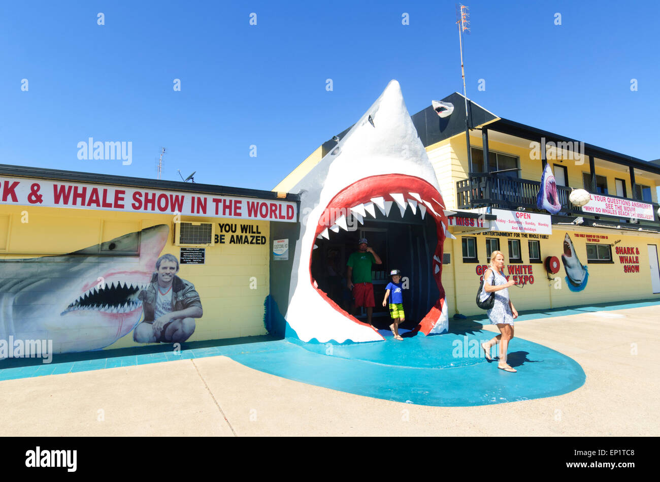 Vic Hislop's Whale Shark et Show, Hervey Bay, Queensland, Queensland, Australie Banque D'Images