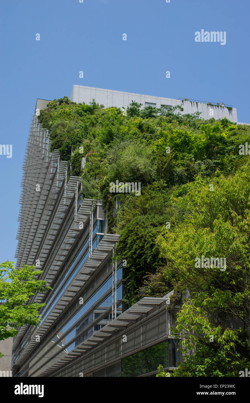 ACROS Fukuoka, Fukuoka, Japon. L'architecture écologique, en utilisant l'étape vert jardin extérieur. Banque D'Images