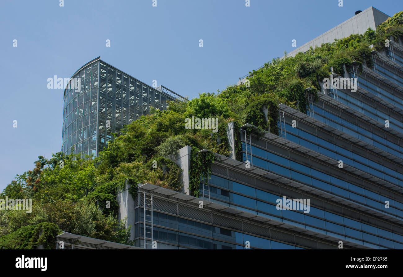 ACROS Fukuoka, Fukuoka, Japon. L'architecture écologique, en utilisant l'étape vert jardin extérieur. Banque D'Images