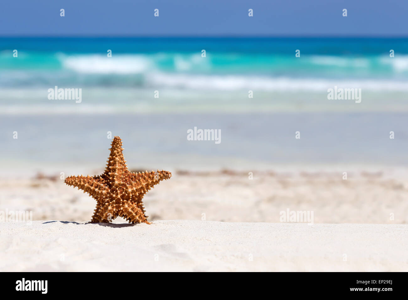 Sur la plage de sable de mer des caraïbes, travel concept Banque D'Images Sur la plage de sable de mer des caraïbes, travel concept Banque D'Images