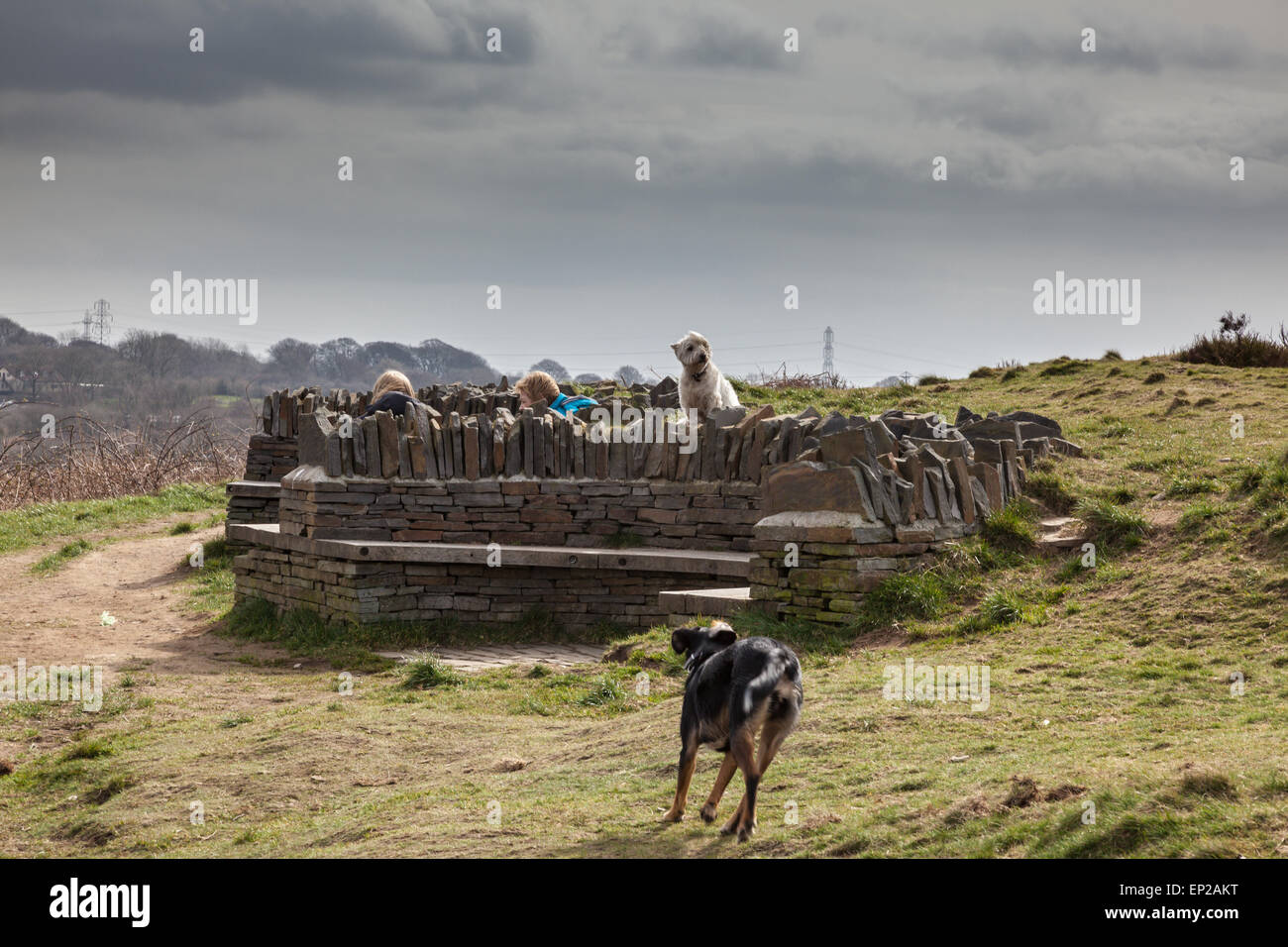 Deux femmes s'asseoir et discuter sur un banc en pierre sur la montagne de Caerphilly, tandis que les chiens courir courir après eux, Caerphilly, Wales Banque D'Images