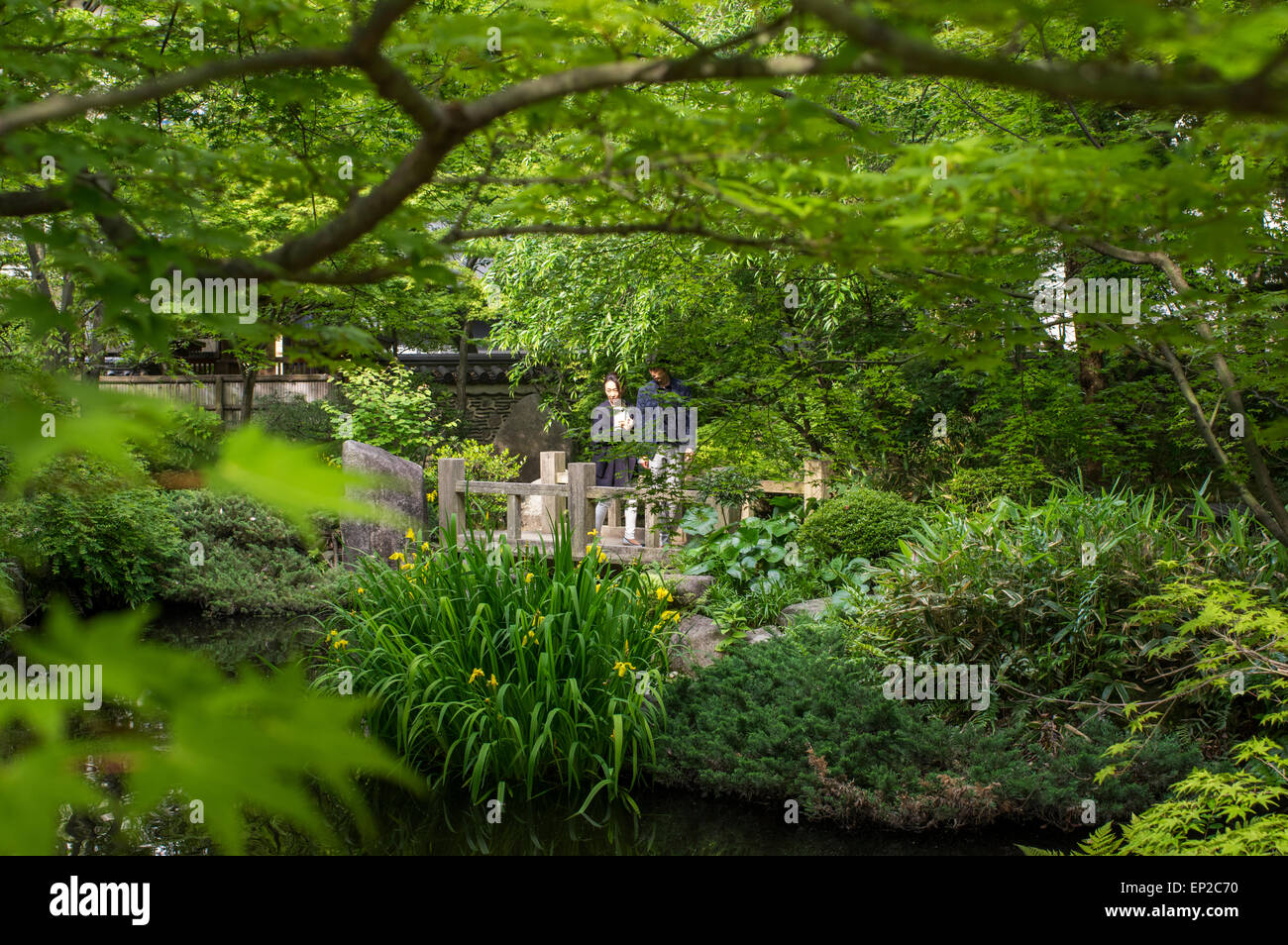 Maison et jardin de thé Rakusuien, Fukuoka, Kyushu, au Japon. Banque D'Images