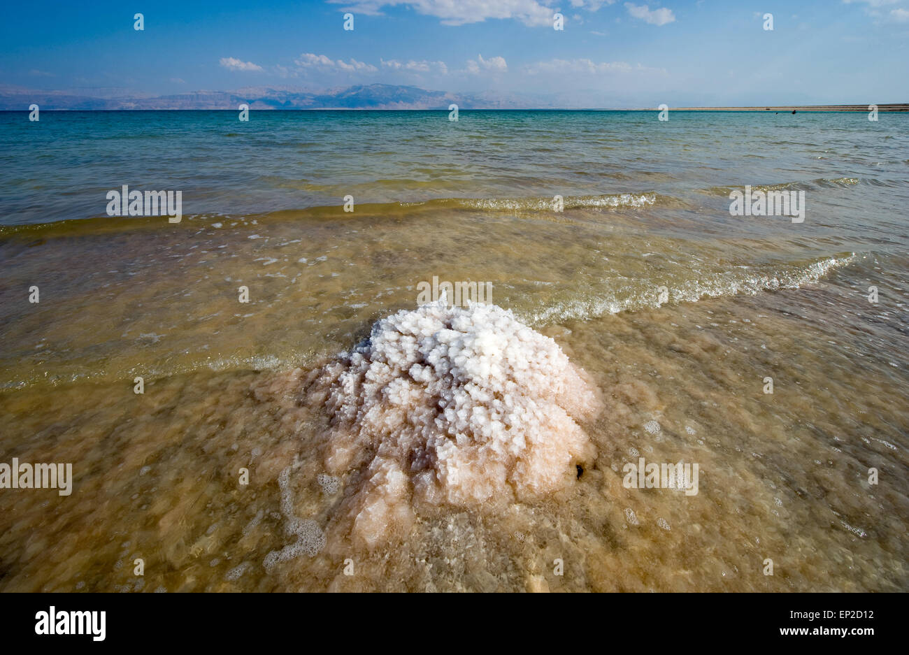 Du sel sur une plage de la mer Morte en Israël Banque D'Images