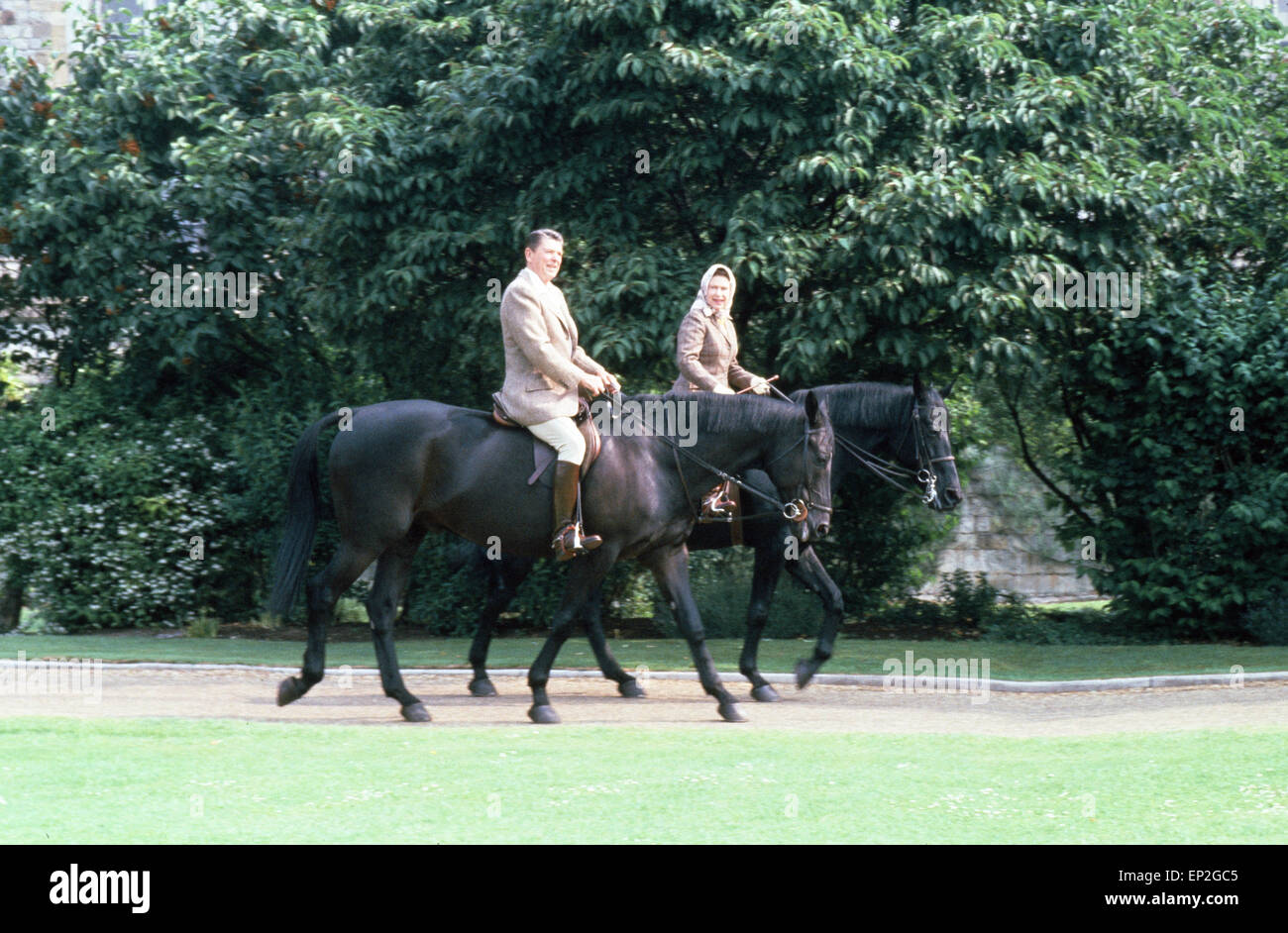 Le président américain Ronald Reagan à califourchon sur le cheval équitation du centenaire avec la reine Elizabeth II le matin birman durant leur trajet dans Windsor Great Park pendant la visite du président à la Grande-Bretagne. 8 juin 1982. Banque D'Images